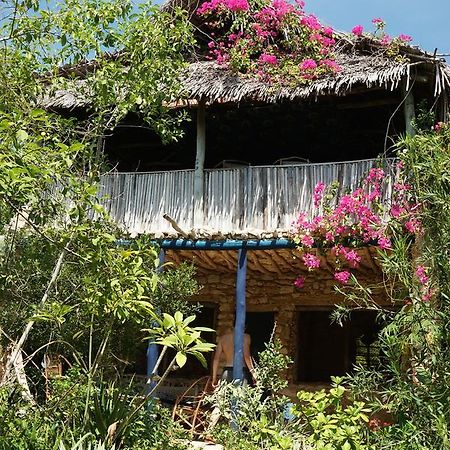 Blue Monkey Beach Cottages Shimoni Zewnętrze zdjęcie