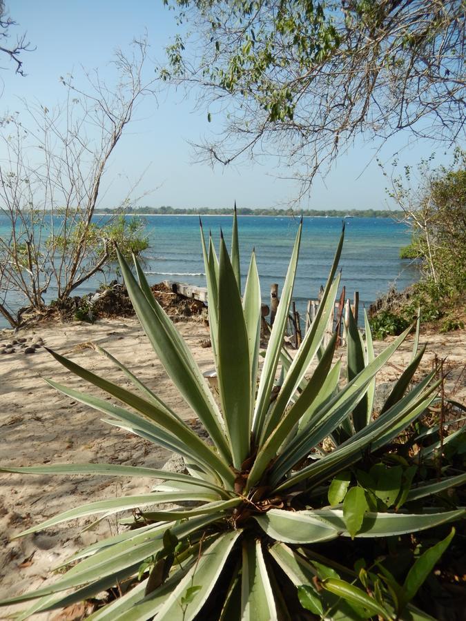 Blue Monkey Beach Cottages Shimoni Zewnętrze zdjęcie