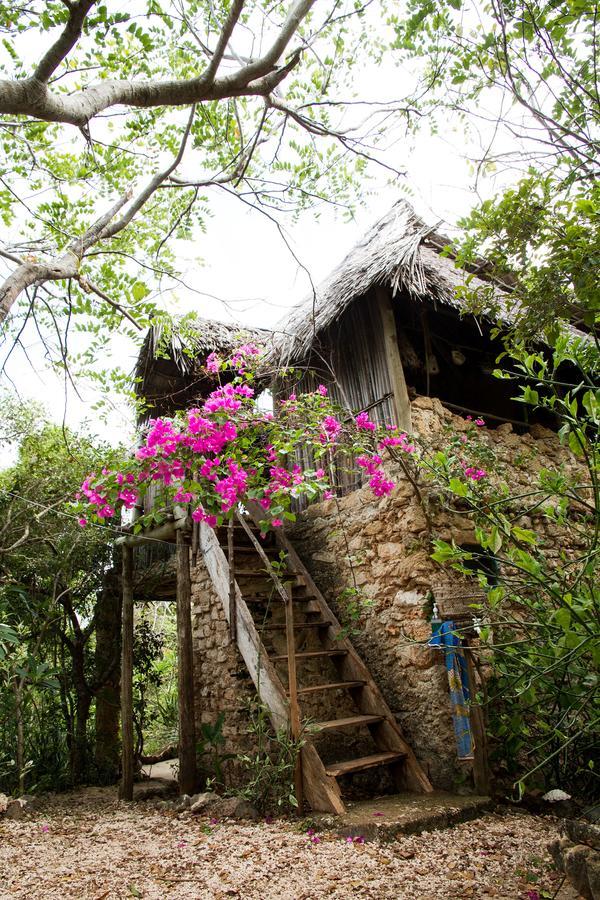 Blue Monkey Beach Cottages Shimoni Zewnętrze zdjęcie